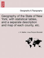 Geography of the State of New York; With Statistical Tables, and a Separate Description and Map of Each County, Etc.