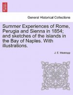 Summer Experiences of Rome, Perugia and Sienna in 1854; And Sketches of the Islands in the Bay of Naples. with Illustrations.