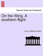 On the Wing. a Southern Flight.