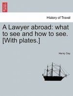 Lawyer Abroad