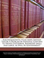 Electromagnetic Pulse (emp): Should This Be A Problem Of National Concern To Private Enterprise, Businesses Small And Large, As Well As Government?