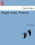 Angel Visits. Poems.