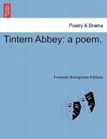 Tintern Abbey