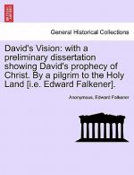 David's Vision