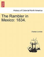 Rambler in Mexico