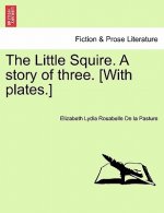 Little Squire. a Story of Three. [With Plates.]