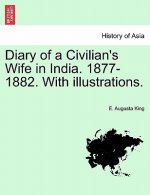 Diary of a Civilian's Wife in India. 1877-1882. with Illustrations. Vol. II