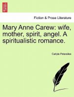 Mary Anne Carew: wife, mother, spirit, angel. A spiritualistic romance.