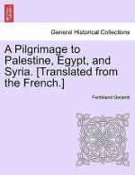 Pilgrimage to Palestine, Egypt, and Syria. [Translated from the French.]