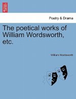 Poetical Works of William Wordsworth, Etc.
