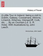 Little Tour in Ireland