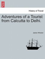 Adventures of a Tourist from Calcutta to Delhi.