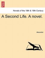 Second Life. a Novel.