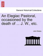 Elegiac Pastoral, Occasioned by the Death of ... J. W., Etc.