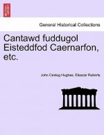 Cantawd Fuddugol Eisteddfod Caernarfon, Etc.