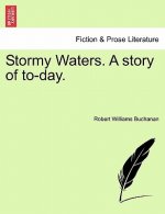 Stormy Waters. a Story of To-Day.