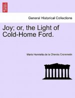 Joy; Or, the Light of Cold-Home Ford.