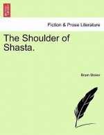 Shoulder of Shasta.