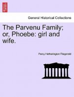 Parvenu Family; Or, Phoebe