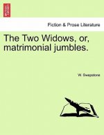 Two Widows, Or, Matrimonial Jumbles.