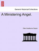 Ministering Angel.