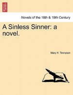 Sinless Sinner