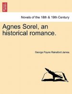 Agnes Sorel, an Historical Romance.