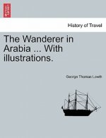 Wanderer in Arabia ... with Illustrations.