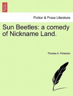 Sun Beetles