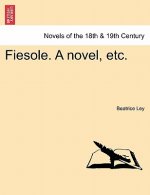 Fiesole. a Novel, Etc.