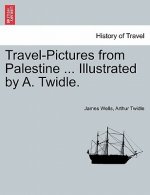 Travel-Pictures from Palestine ... Illustrated by A. Twidle.