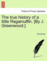 True History of a Little Ragamuffin. [By J. Greenwood.]