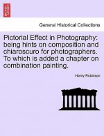 Pictorial Effect in Photography