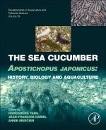 Sea Cucumber Apostichopus japonicus