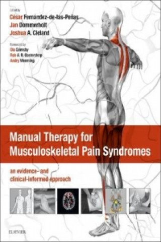 Manual Therapy for Musculoskeletal Pain Syndromes