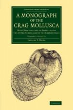 Monograph of the Crag Mollusca