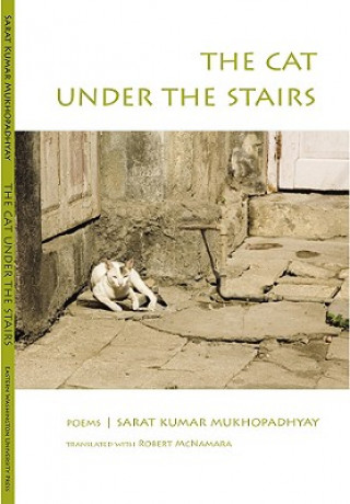 Cat Under the Stairs