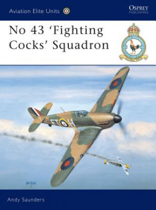 No 43 Squadron