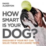 How Smart Is Your Dog?