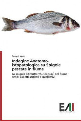 Indagine Anatomo-istopatologica su Spigole pescate in fiume