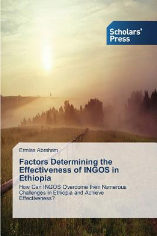 Factors Determining the Effectiveness of Ingos in Ethiopia
