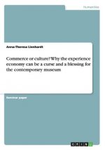 Commerce or culture? Why the experience economy can be a curse and a blessing for the contemporary museum