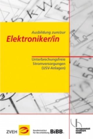 Unterbrechungsfreie Stromversorgungen (USV-Anlagen)