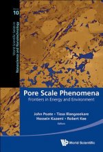 Pore Scale Phenomena: Frontiers In Energy And Environment