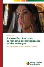 viuva Porcina como paradigma de protagonista na dramaturgia