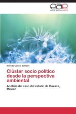 Cluster socio politico desde la perspectiva ambiental