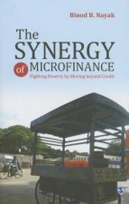 Synergy of Microfinance