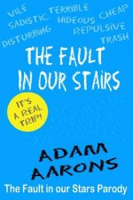Fault in Our Stairs