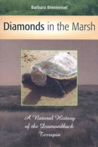 Diamonds in the Marsh