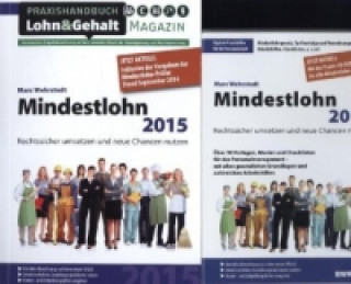 Mindestlohn 2015, m. CD-ROM